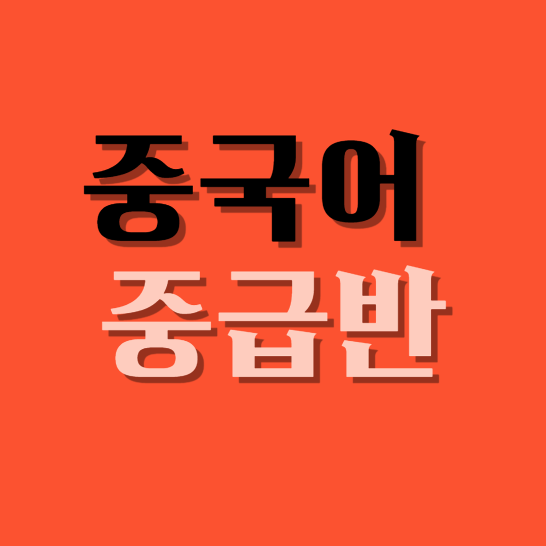 중국어 중급반